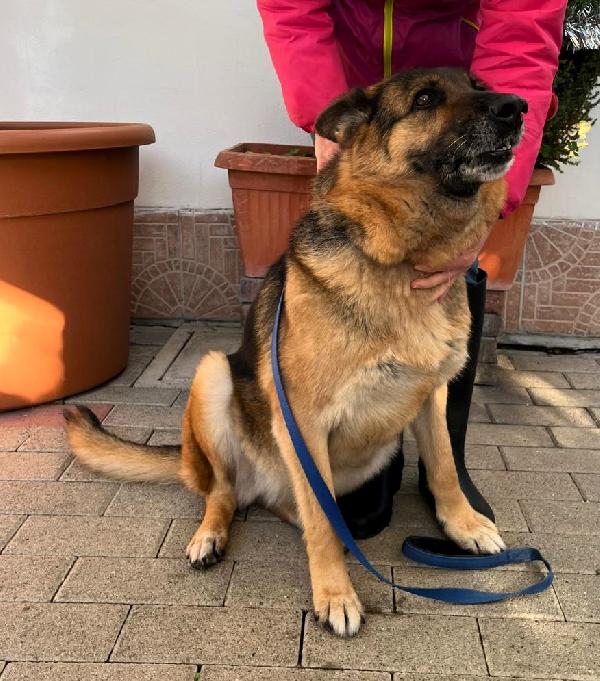 FEDERICA PASTORE TEDESCO Foto 5